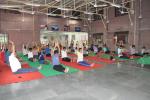 Yoga Activities on 19th June, 2017 - image-10