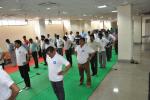 Yoga Activities on 19th June, 2017 - image-14