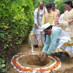Tree Planting by Vice Chancellor Prof. Murlimanohar Pathak